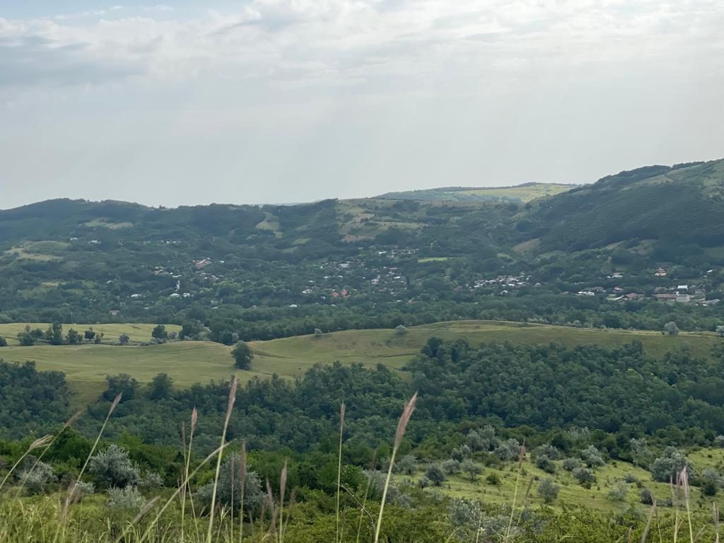 Vedere de Vârful Mare, unde au fost aduși urșii